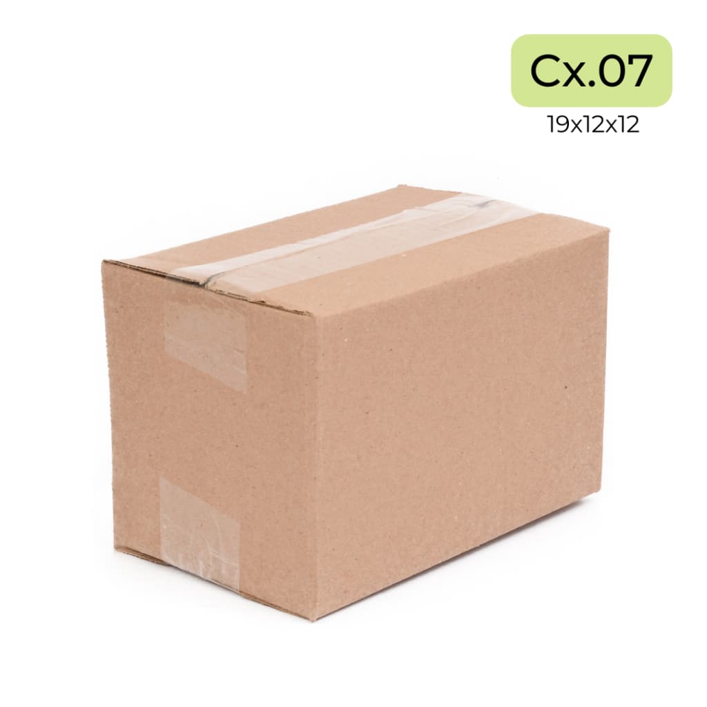 Caixa De Papelão Correio Sedex Pac 19x12x12 E-commerce 100cx