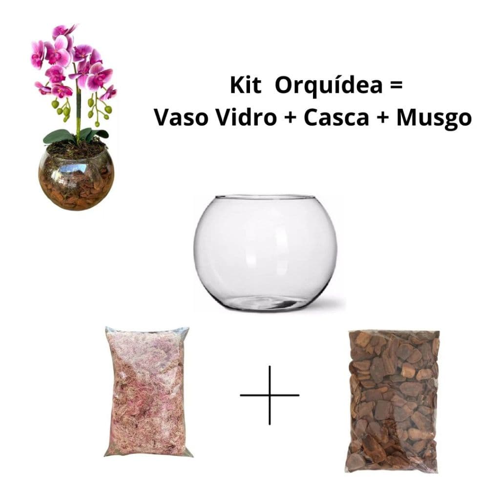 Vaso Vidro Redondo Aquário 2.8 Litros + Casca de Pinus + Musgo Sphagnum Orquideas