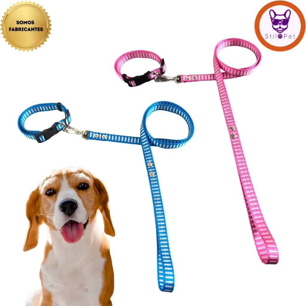 Coleira Para Cães ou Gatos pet raças pequenas pequeno porte com Guia