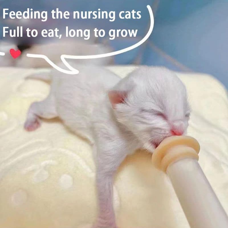 1 Bico Alimentador Pet Bico com Seringa Alimentador Mamilo Valor Unitário