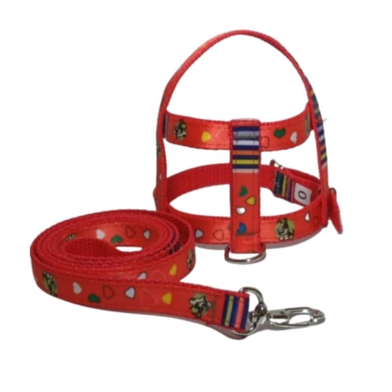 COLEIRA PEITORAL E GUIA ESTAMPADO CÃES E GATOS PORTE PEQUENO