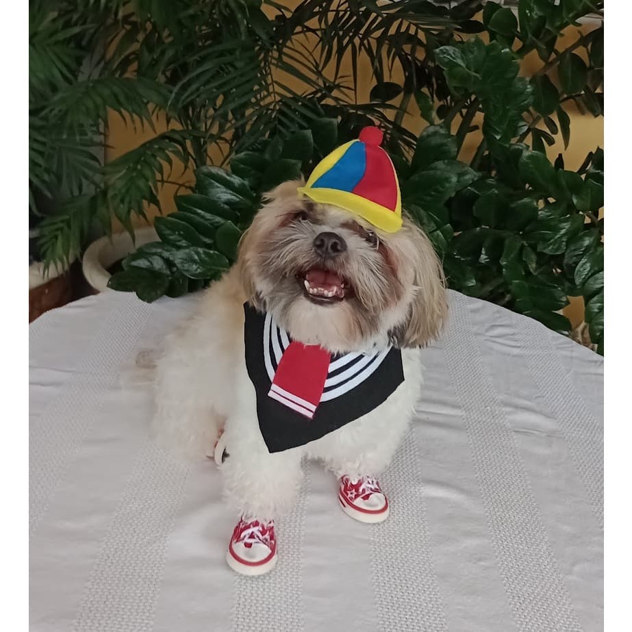 Fantasia Pet Carnaval KIKO turma do Chaves Cachorro ou Gato