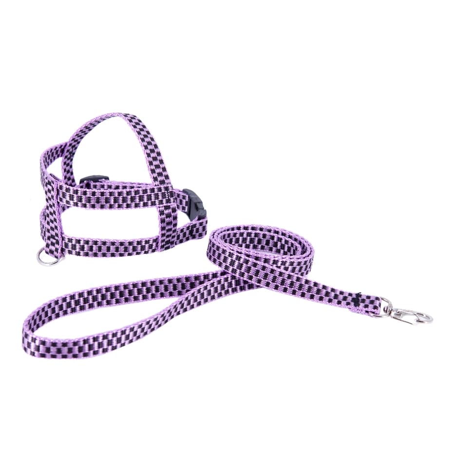 Peitoral com Guia em Nylon PROMASTER Ajustável e Confortável para Cachorro