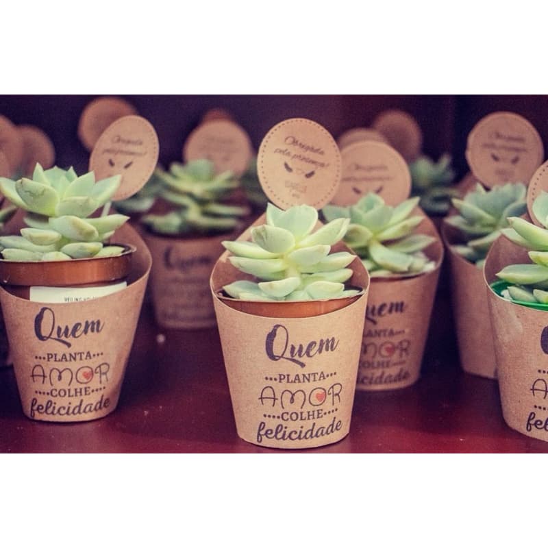 50 rótulos + 50 tags para mini suculentas