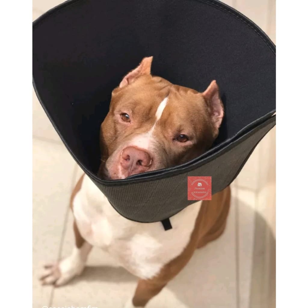 Colar Cirúrgico Cone Gatos E Cães Confortável Todos os Tamanhos