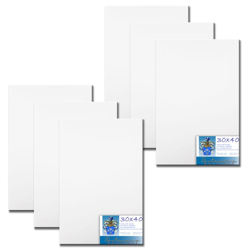 Kit 06 Telas De Pintura 30x40 Prontas Para Uso 100% Algodão