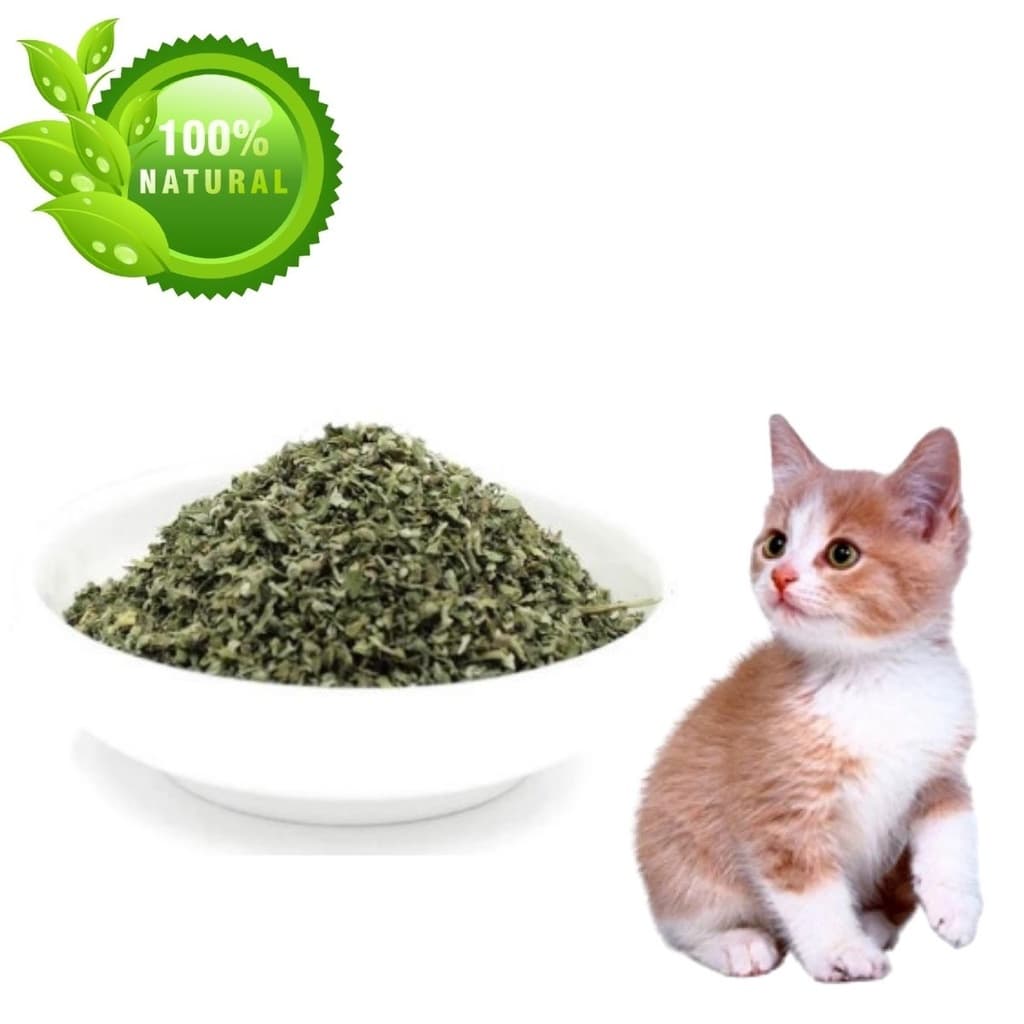 Catnip 10 gramas Erva Do Gato Natural Deixa o Gato Alegre ,Catnip pet,gatos todas as idades e filhotes.