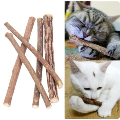 Vara Graveto Erva Do Gato Catnip Matatabi Limpa  Deixa o Pet Feliz Brinquedo De Gato