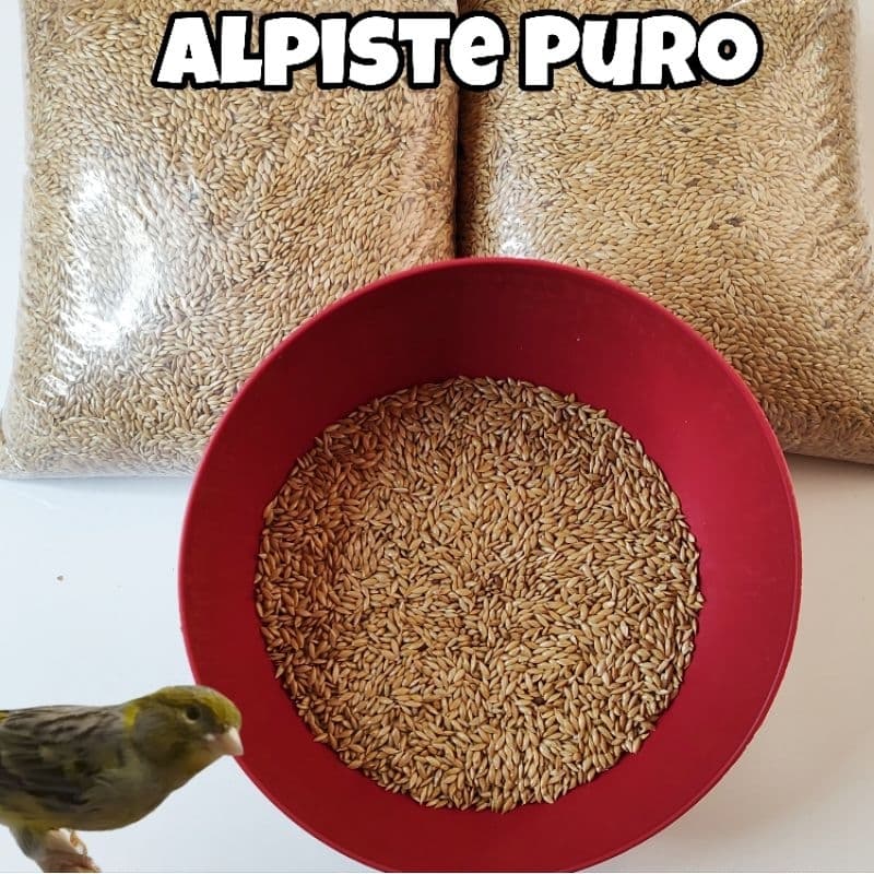 Alpiste Puro (1Kg)
