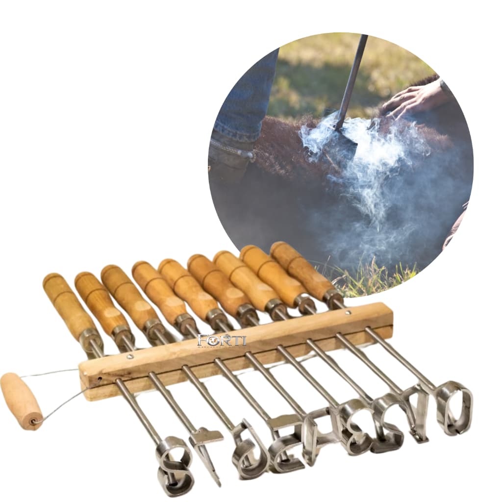 Kit Marcador Gado  - Jogo de números 0 a 9 - Convencional Números Redondos 7 cm