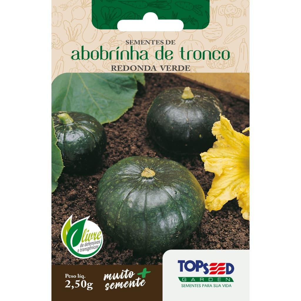 Sementes Abobrinha Redonda de Tronco Verde 2,50 gramas Saborosa Cozinha Salada