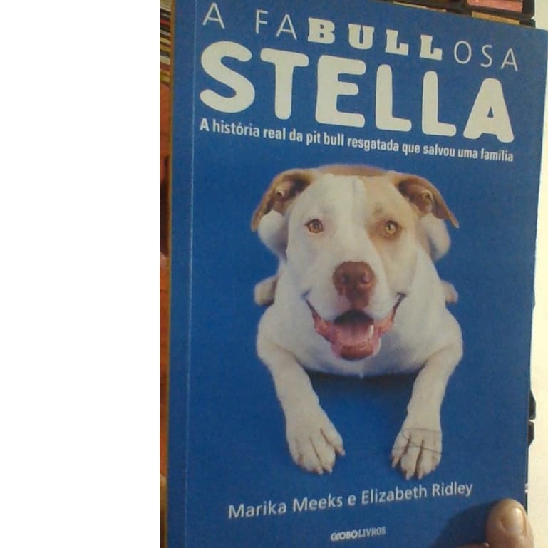 livro a fabullosa stella, a história de uma pitbull resgatada que salvou uma família, Marika Meeks e Elizabeth Ridley, ed globo livros