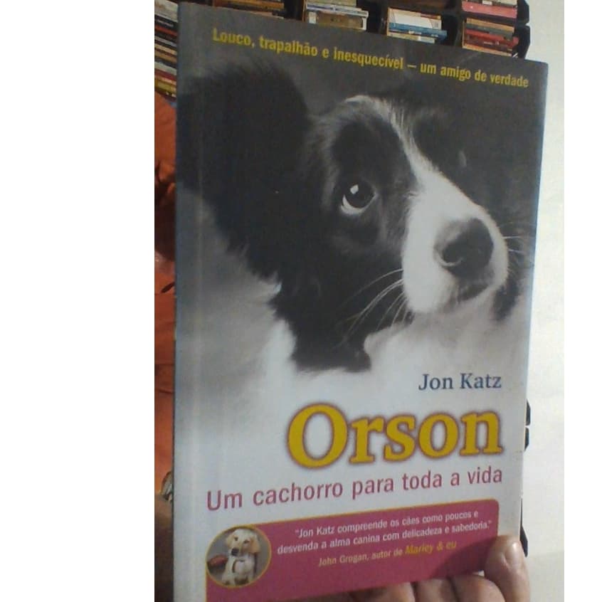 livro orson, um cachorro para toda a vida, Jon Katz, ed prestígio