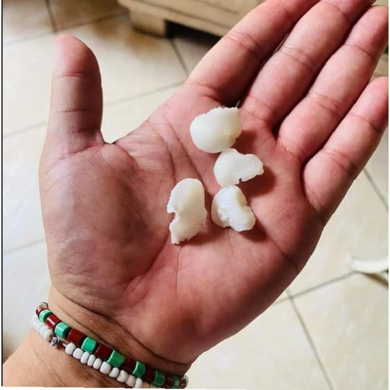 Pedra de corvina natural