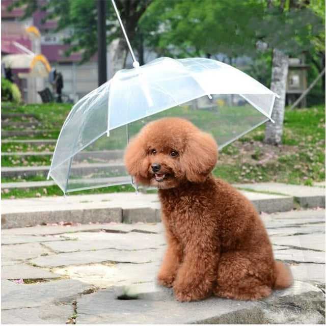 Guarda Chuva Pet Cachorro: Modelo Invertido