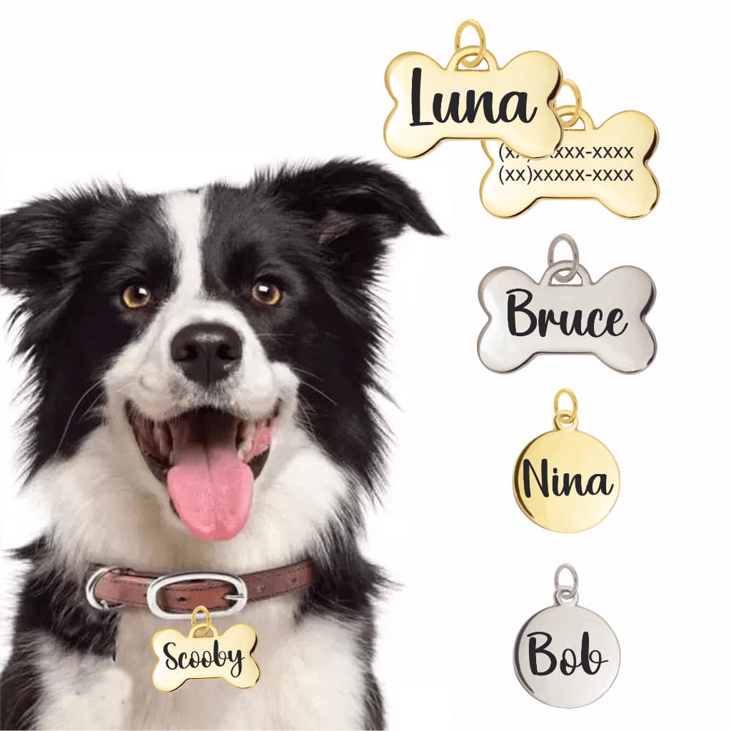 Placa de Identificação Pet Plaquinha Pingente personalizado Cachorro Cão Gato