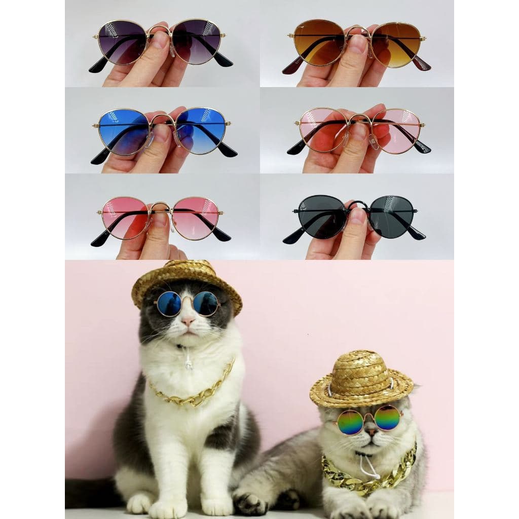 Óculos de sol pet redondo para gato e cachorro cor colorida