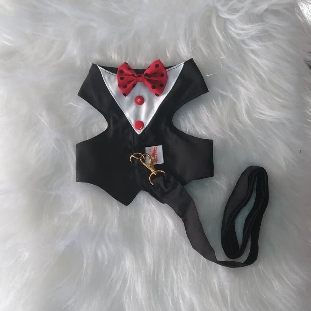 Roupa coleira peitoral macho com guia roupinha terninho smoking fraque