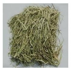 Feno  Premium Verdinho Fresquinho Cheirosinho 500g para Coelho, , Hamster, Chinchila e Roedores em Geral.