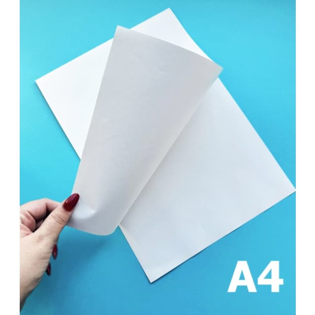 Protetor Térmico A4 Siliconado Branco Laminação Bopp PET Polaseal Proteção Impressão