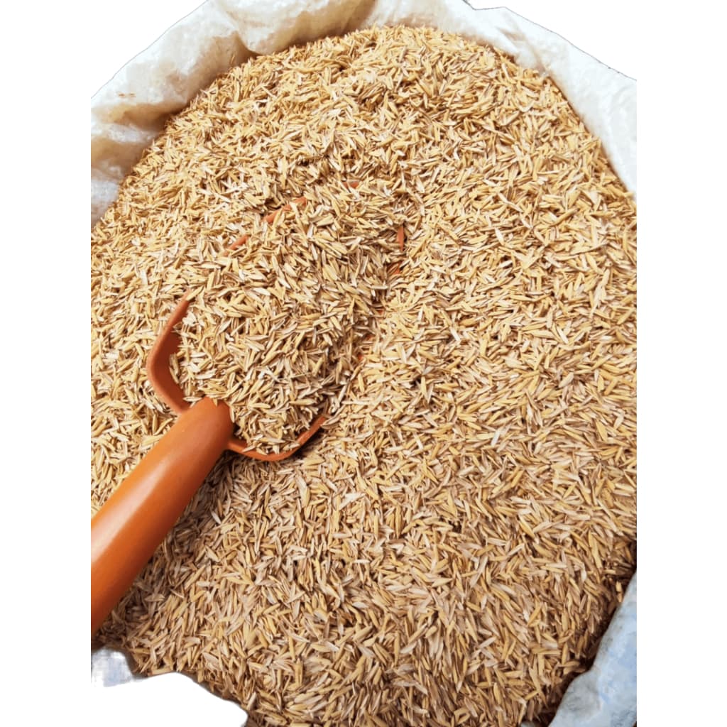 Casca Palha de Arroz In Natura 20 Litros Terra Fertil Plantas