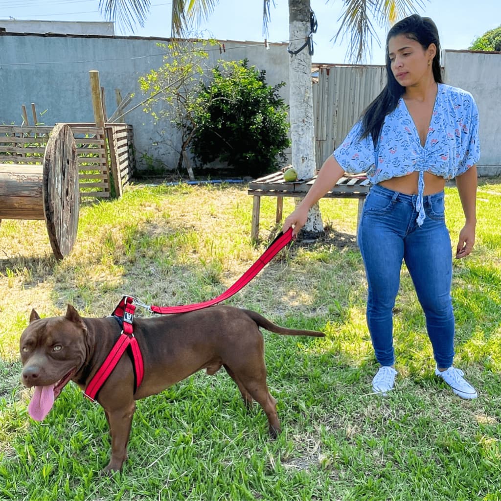 Coleira Peitoral Americano para cachorro super resistente confortável regulável