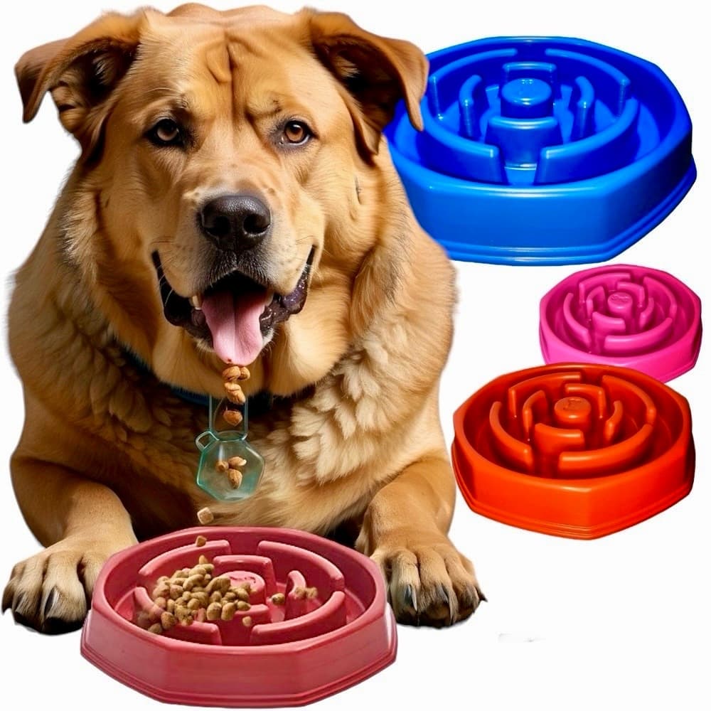Comedouro Cães Educativo Lento Foodtimer Coma Devagar Interativo Labirinto