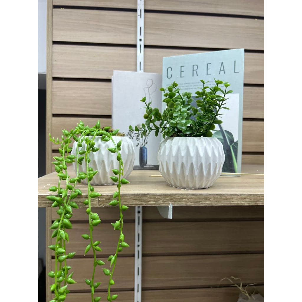Kit com 2 Arranjos de Planta no Vaso Redondo de Gesso