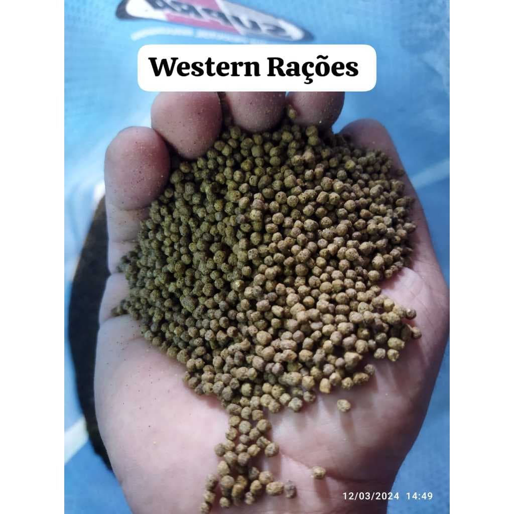 ATÉ 3KG Ração para Peixe 2.5mm 40% Proteina - Para Carpas, Kinguios, Tartarugas,  Beta e similares