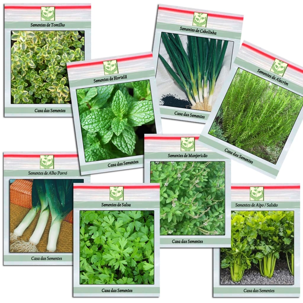 Kit de Sementes de Erva e Tempero - 10 Espécies para Plantio de Mudas