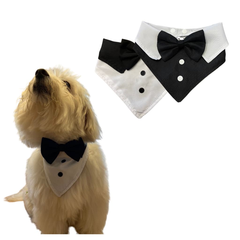 Bandana Pet Social, para Casamento, para Festas, com Gravatinha