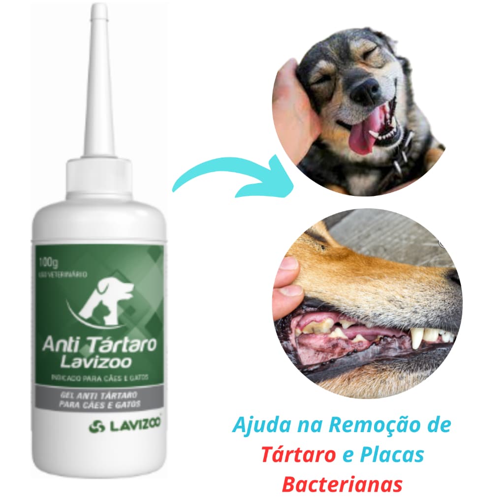 Anti Tartaro Lavizoo 100g Gel Cães E Gatos Removedor de Tártaro