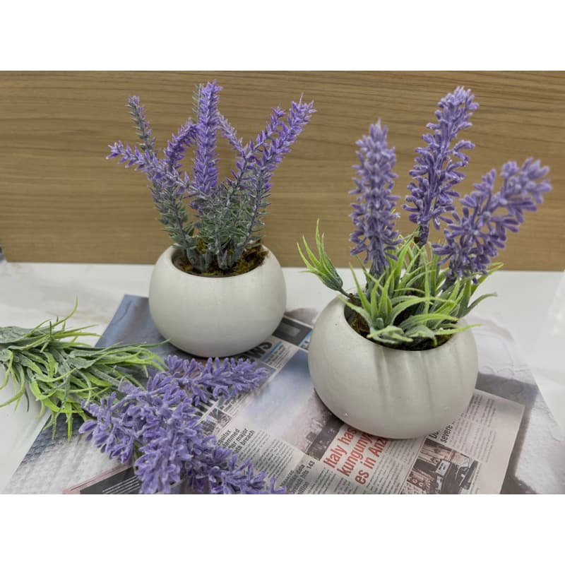 kit com 2 arranjo de lavanda no vaso de gesso redondo para decorações em casa