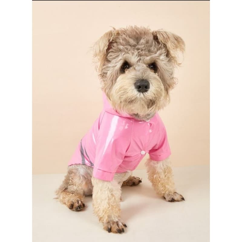 Capa de chuva pet perfeita para cães e gatos impermeável Jaqueta de chuva Anoraque