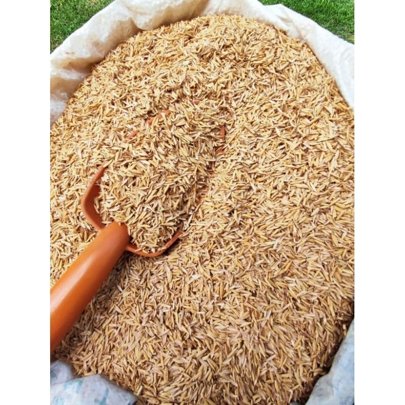 Palha Casca de Arroz 10/20/30/50/100 Litros Natural Direto da Colheita