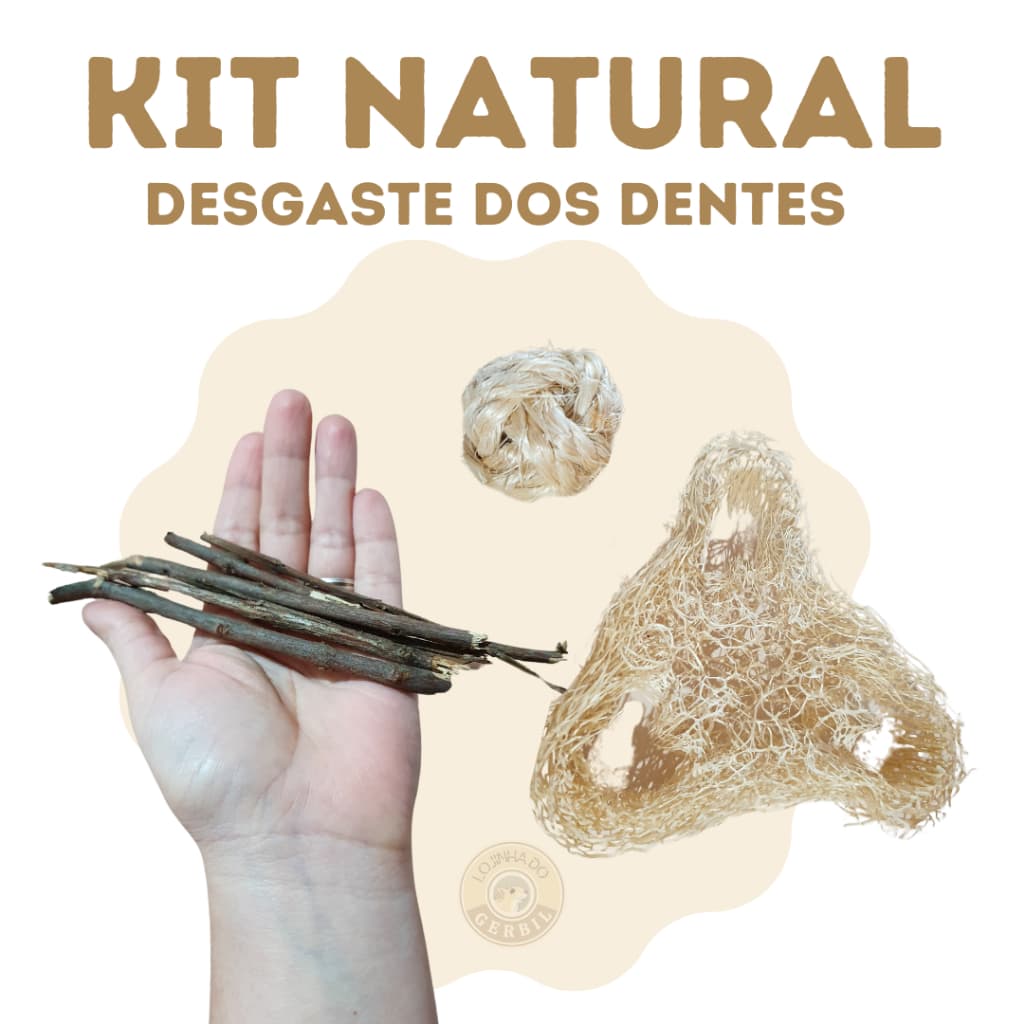 Kit Natural para desgaste dos dentes de hamster, gerbil, coelho, PDI, twister...