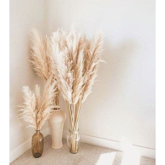 Kit com 10 Plumas Natural / Capim dos Pampas