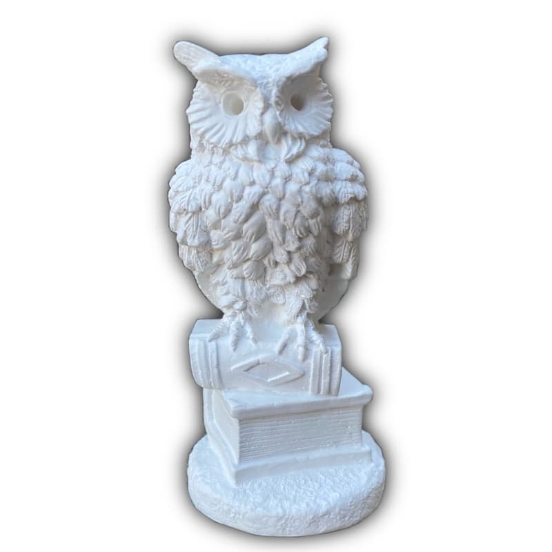 Coruja Livro 16 cm Gesso Cru