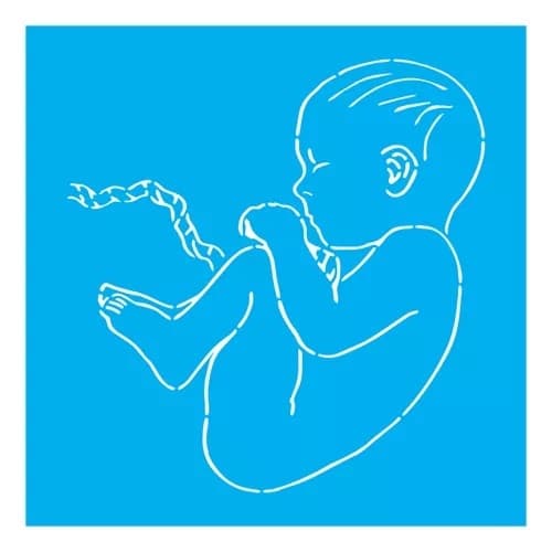 Stencil Gestacional - 30x30 - Ref 9960