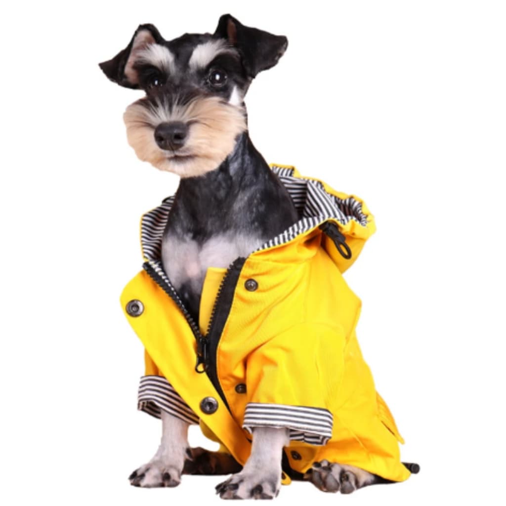 Capa De Chuva Pet Cachorro Grande Capuz Emborrachado Regulável
