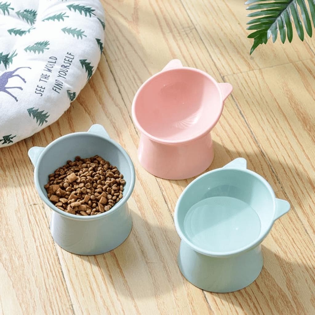 Comedouro Bebedouro Gatinho Elevado Postura correta