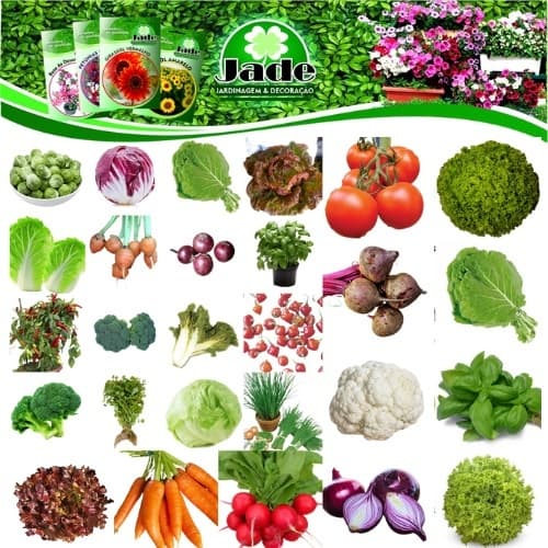 3260 Sementes Verduras E Legumes 20 Tipos de envelopes Separados!
