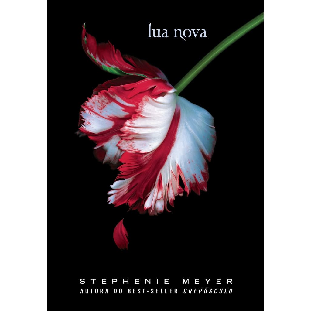 Livro Lua nova - Série Crepúsculo Vol. 2, por Stephenie Meyer - Intrínseca