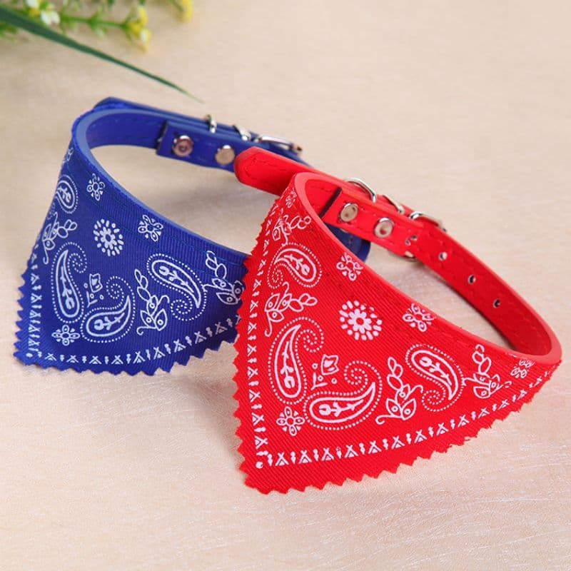 Coleira Bandana Para Animais de Estimação Gato e Cachorro