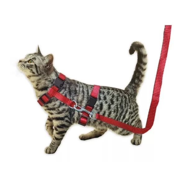 COLEIRA PEITORAL PARA GATOS COM GUIA E REGULAGEM – CONFORTÁVEL E AJUSTÁVEL