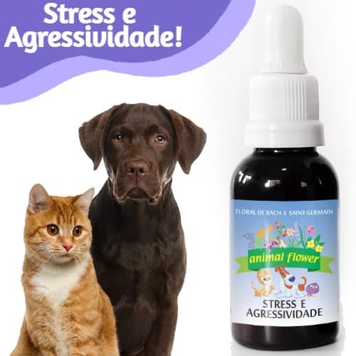 Floral De Bach Original para PET Cachorro Gato - Estresse e Agressividade 30ml Gotas