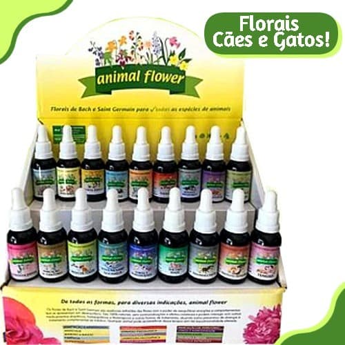 Floral Pet Animal Flower 30ml Vários Tratamentos - Escolha