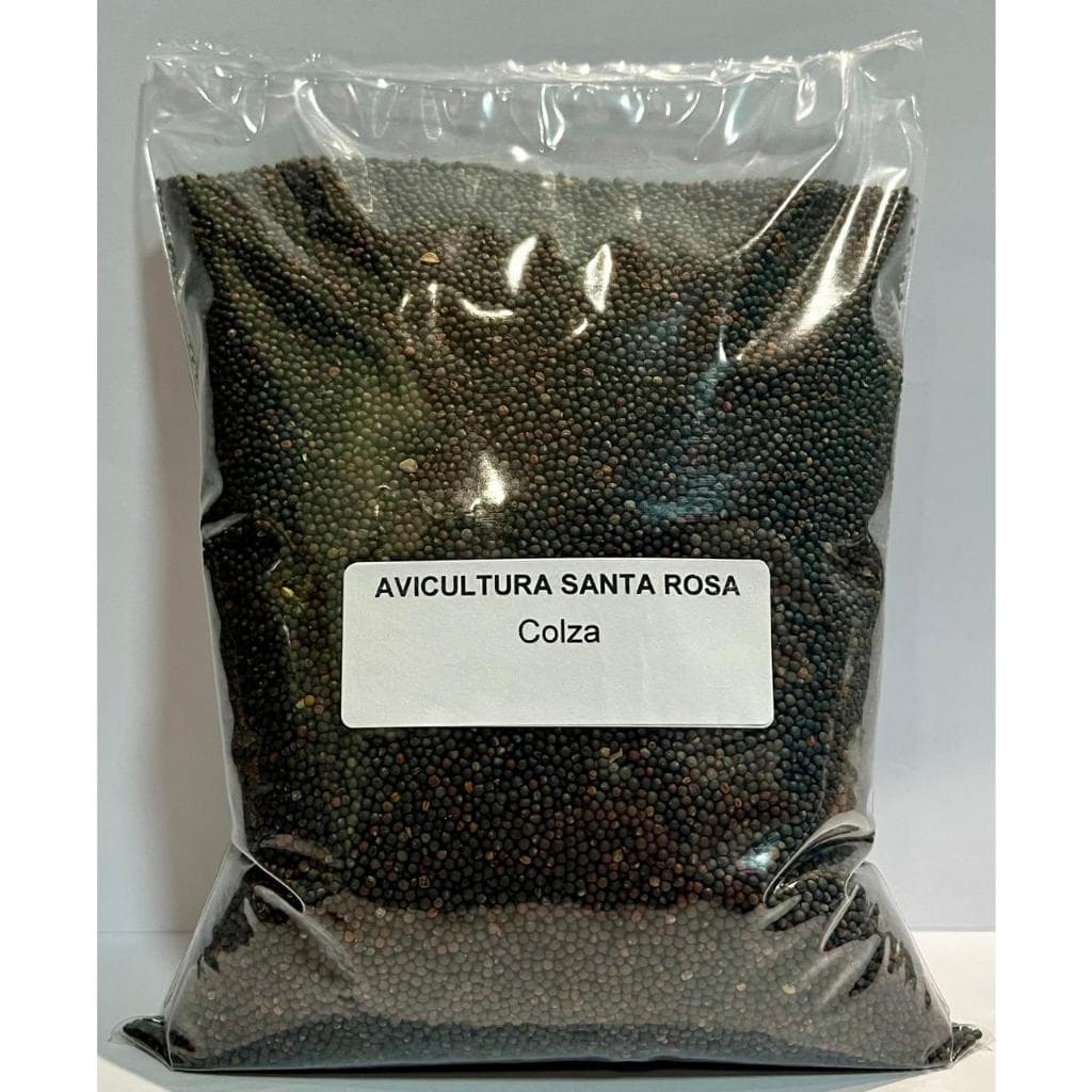 Semente De Colza - 1kg