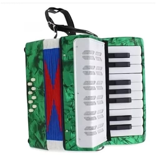 Sanfona Acordeon Semi Profissional 8 Baixos 17 Teclas Gaita