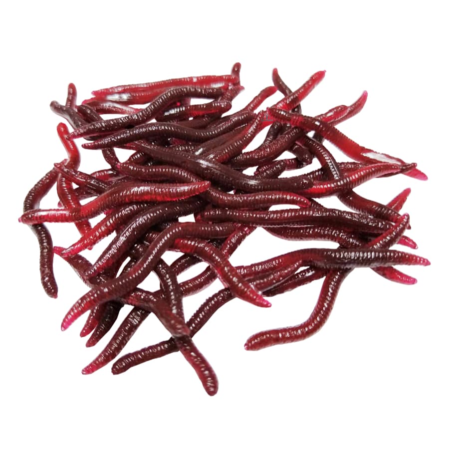 Kit Isca Artificiai Minhoca Realista de Silicone Soft 4cm